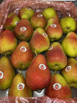 Blush Pear – Carton (CTN)