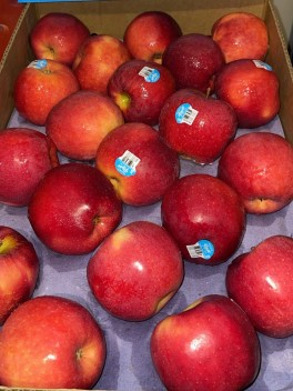 Pacific Rose Apple – Carton (CTN)
