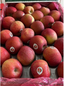 Red Apple – Carton (CTN)