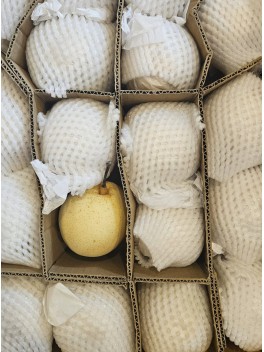 Yali Pear – Carton (CTN)