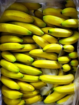 Flash Banana Clearance! 🍌 18kg (CTN)