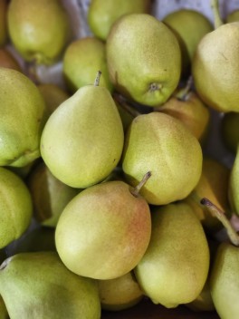 Fragrant Pear – Carton (CTN)