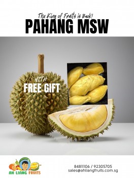 Pahang Musang King (MSW) Durian - 5 packs of 450g