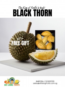 BLACK THORN - 5 packs of 450g