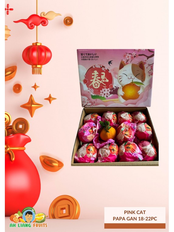 CNY Orange: Pink Cat Papa Gan 18-22pc