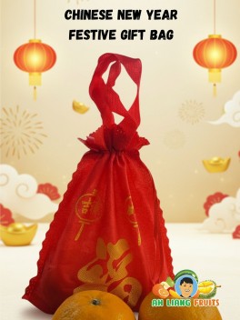 Chinese New Year Festive Gift Bag