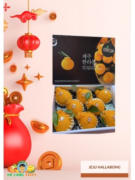 CNY Orange: JEJU HALLABONG