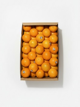 AUS Orange 6pc/12pc