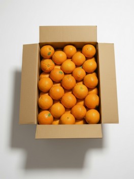 Small LocSweet Orange 6pc/12pc