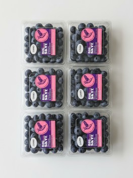 Blueberry Jumbo 125g