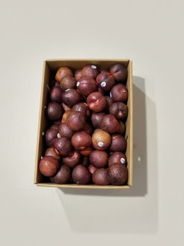 Burst Plum 1kg