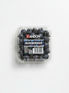 Blueberry Small 125g