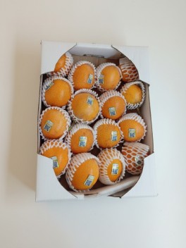 Yellow Passionfruit 3pc