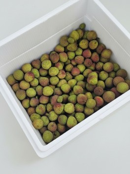China Lychee 500g / 1kg