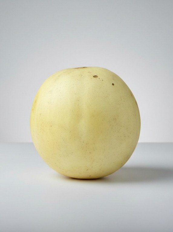 Honeydew Melon