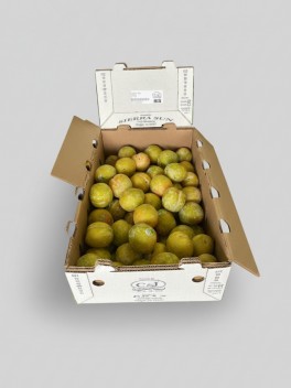 October Sun Plum 1kg