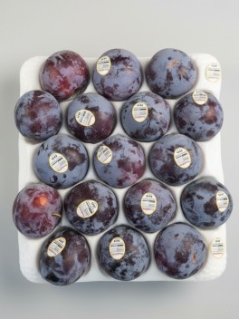 US Plum 3pc