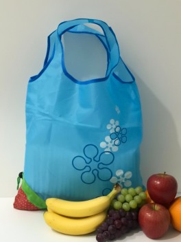 Create Your Own Fruit Bag