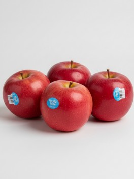 Pacific Rose Apple 5pc