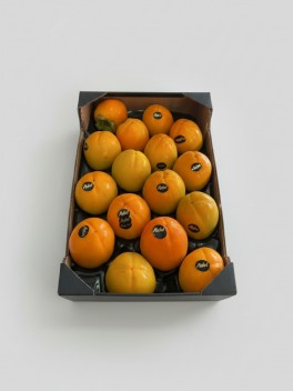 Spain Persimmon 3pc
