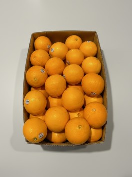 Barnfield Orange 6pc/12pc