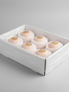 BING TANG LI 6pc