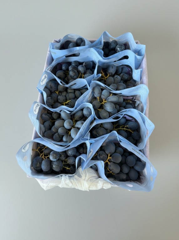 AUS Adora Black Grapes 1kg