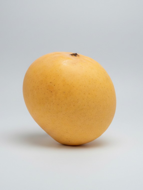 R2E2 Mango 2pc