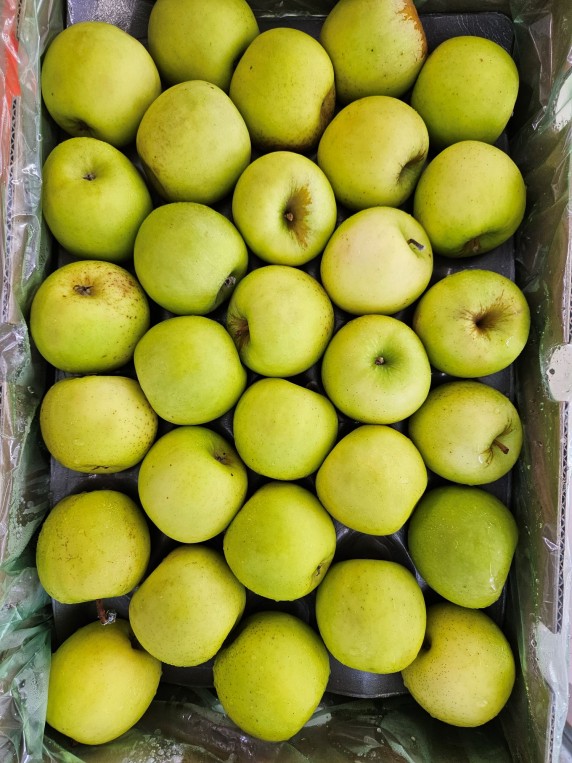 Green Apple – Carton (CTN)