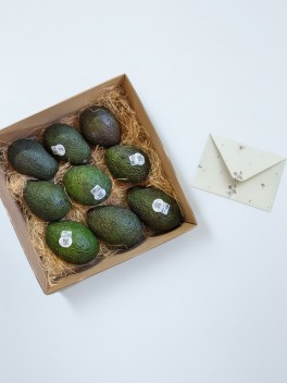 Avocado Lover's Gift Box