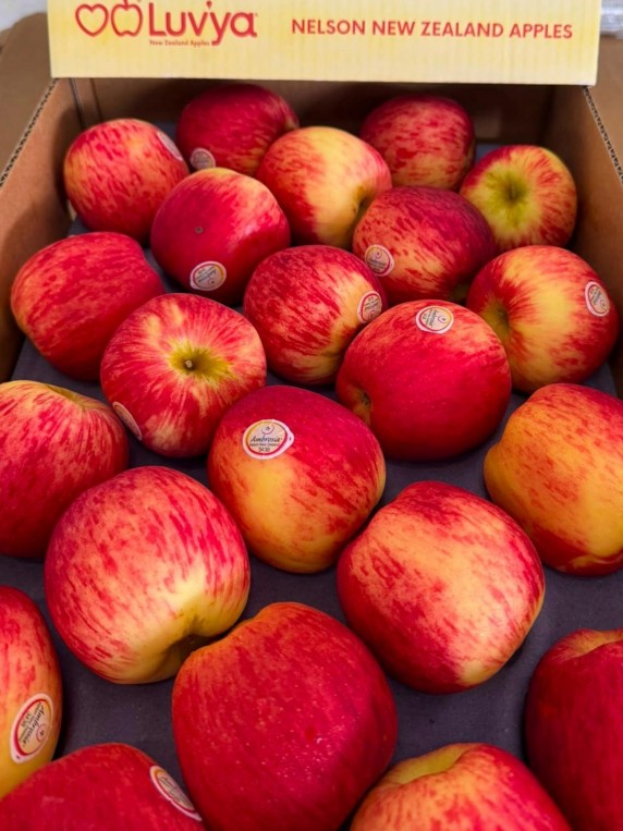 NZ Ambrosia Apple 5pc