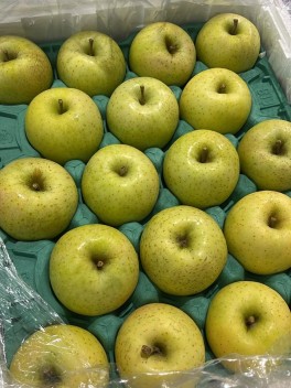 Japanese Toki Apple 3pc