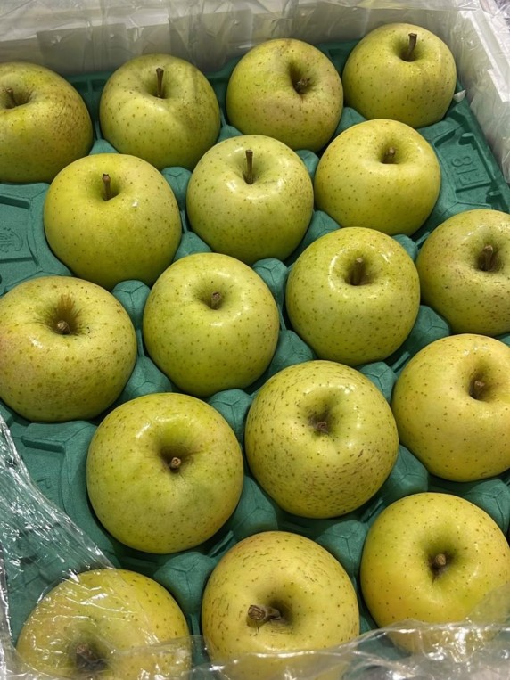 Japanese Toki Apple 3pc