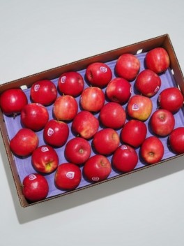 Pink Lady Apple 6pc/12pc