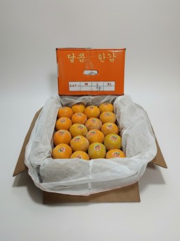 China Persimmon