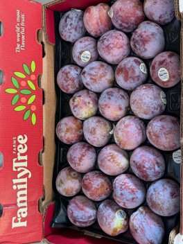 FlavorFall Plum 3pc