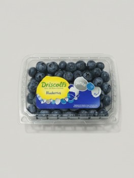 Blueberry 200g