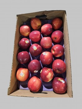 Cosmic Apple 5pc