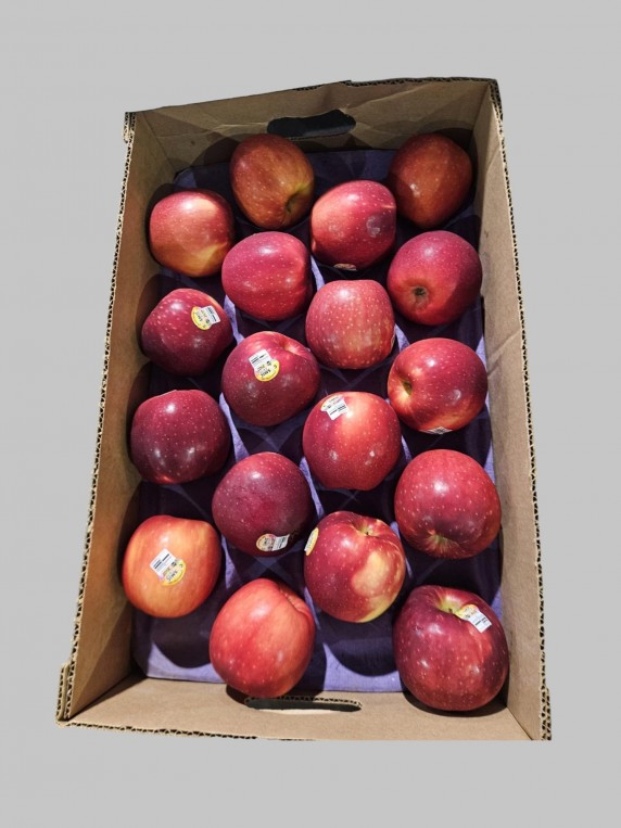 Cosmic Apple 5pc
