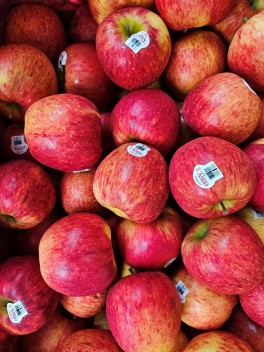 Envy Apple (Medium) – Carton (CTN)