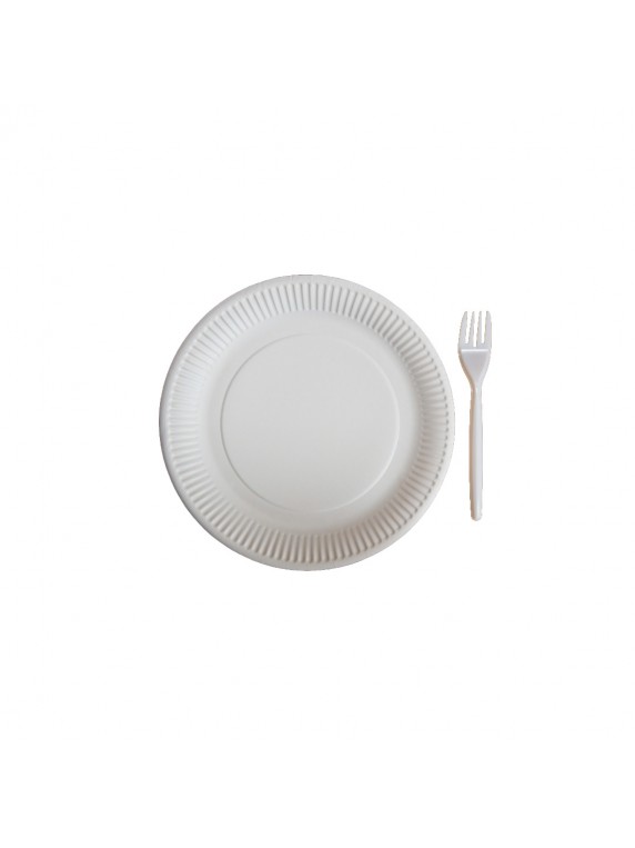Party Plates & Fork 50s