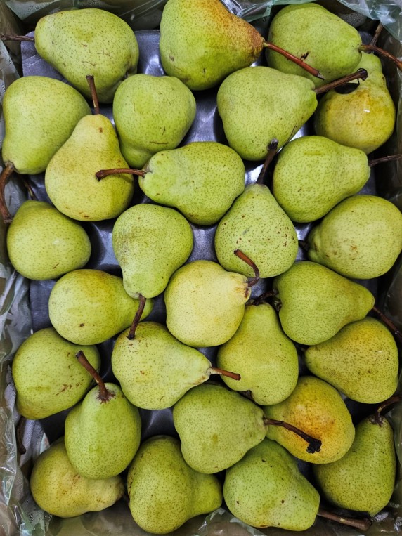 Green Pear – Carton (CTN)