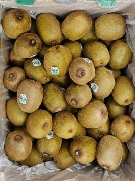 Green Kiwi – Carton (CTN)