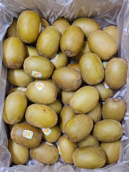 Gold Kiwi – Carton (CTN)