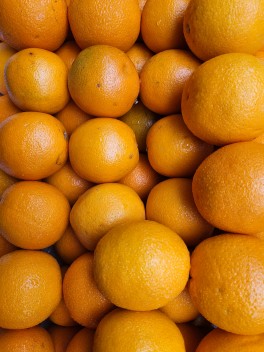 Orange – Carton (CTN)